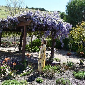 Meet your Posher, Corrie